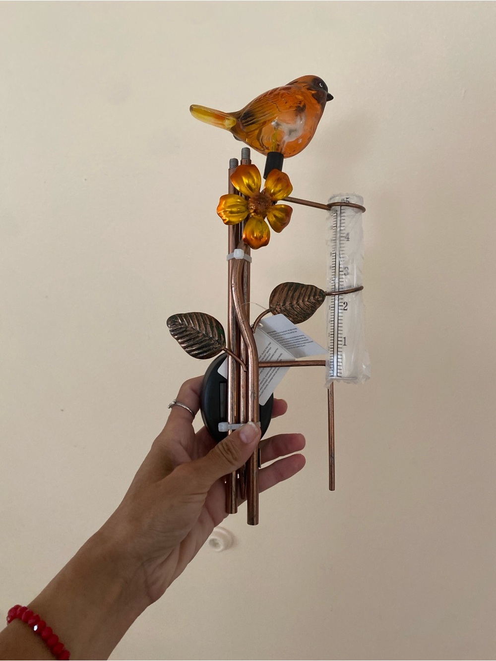 Bird Rain gauge